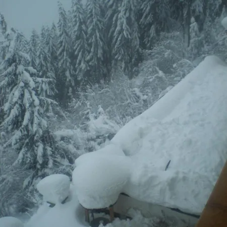 In With Mountain Views, Parking & Balcony * Hippach